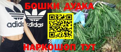 крисы Партизанск
