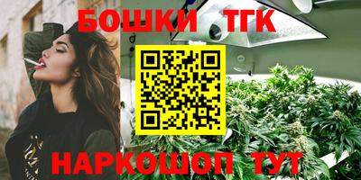 крисы Партизанск