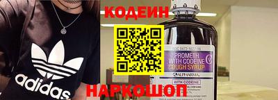 крисы Партизанск